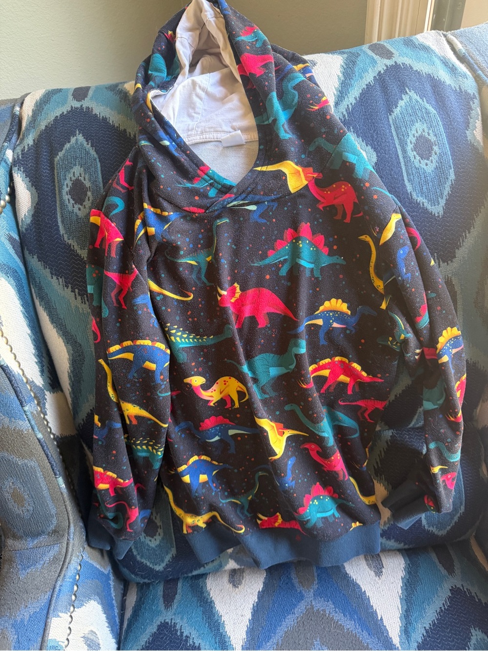 Kids Black Dino Hooded Sweatshirt - Colorful Dinosaur Print